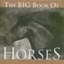 Image for Big Book of Horses