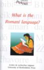 Image for What is the Romani language?