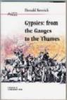 Image for Gypsies  : from the Ganges to the Thames