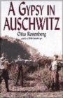 Image for A Gypsy in Auschwitz