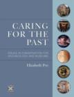 Image for Caring for the Past : Issues in Conservation for Archaeology and Museums