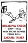 Image for Breaking knees  : modern Arabic short stories from Syria
