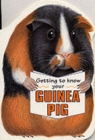 Image for Getting to know your guinea pig