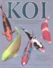 Image for Koi  : a colourful and comprehensive celebration of these beautiful ornamental fish