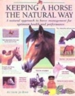 Image for Keeping a horse the natural way  : a natural approach to horse management for optimum health and performance