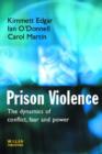 Image for Prison violence  : conflict, power and victimization