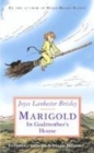 Image for Marigold in Godmother&#39;s House