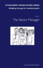 Image for The senior manager in school : Getting Started - The Senior Manager -INCO/SENCO/Assistant Head