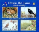 Image for Down the lane  : sights and sounds through the seasons