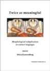 Image for Twice as meaningful  : morphological reduplication in pidgins and creoles