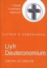 Image for Cyfres o Esboniadau: Llyfr Dueteronomium