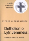 Image for Cyfres o Esboniadau: Detholion o Lyfr Jeremeia