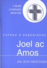 Image for Cyfres o Esboniadau