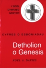 Image for Cyfres o Esboniadau: Detholion o Genesis