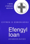 Image for Cyfres O Esboniadau