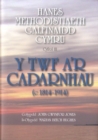 Image for Hanes Methodistiaeth Galfinaidd Cymru: Cyfrol 3 - Y Twf a&#39;r Cadarnhau (c.1814-1914)