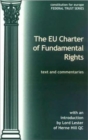 Image for Charter of Fundamental Rights