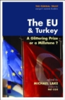 Image for The EU &amp; Turkey  : a glittering prize or a millstone?