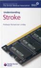 Image for Understanding Stroke