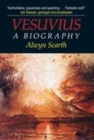 Image for Vesuvius  : a biography