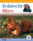 Image for Eolaiocht Bheo - Junior Infants Pupil&#39;s Book