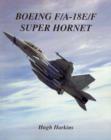 Image for Boeing F/A-18E/F Super Hornet