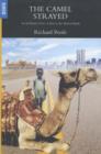 Image for The Camel Strayed : An Aid Worker&#39;s View of Islam in the Modern World