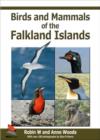 Image for Birds and Mammals of the Falkland Islands