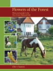 Image for Flowers of the Forest – Plants and People in the New Forest National Park