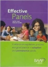Image for Effective panels  : guidance on regulations, process and good practice in adoption and permanence panels in England