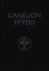 Image for Caneuon Ffydd - Geiriau&#39;n Unig (Rhwymiad Cain)