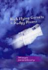 Image for High Flying Corsets &amp; Dodgy Divans