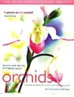 Image for RHS Orchids