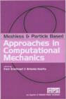Image for Meshless and particle based approaches in computational mechanics