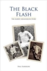 Image for The Black Flash