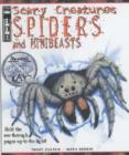 Image for Spiders and Minibeasts