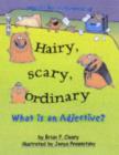 Image for Hairy, scary, ordinary  : what is an adjective?