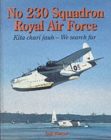 Image for No 230 Squadron Royal Air Force