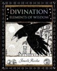 Image for Divination  : elements of wisdom