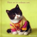 Image for There are No Ordinary Cats