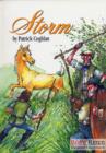 Image for Storm : A Children&#39;s Novel: The Story of a Young Lad and a Young Horse He Found