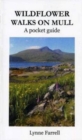 Image for Wildflower walks on Mull  : a pocket guide