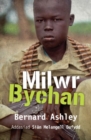 Image for Milwr Bychan