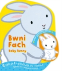 Image for Bwni Fach