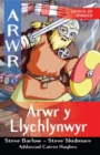 Image for Cyfres Arwr - Dewis dy Dynged: Arwr 4. Arwr y Llychlynwyr