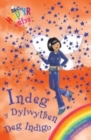 Image for Cyfres Hud yr Enfys: Indeg y Dylwythen Deg Indigo