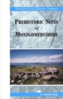 Image for The Prehistoric Sites of Montgomeryshire