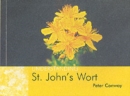 Image for Understanding St. John&#39;s Wort