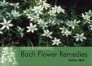 Image for Understanding Bach Flower Remedies