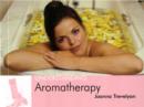 Image for Understanding Aromatherapy